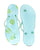 Norty Womens Casual EVA Flip Flop Sandal Limes 22016A